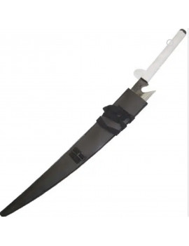 Shikai d'Ichigo - Bleach