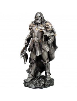 Odin, Chef de Guerre Viking